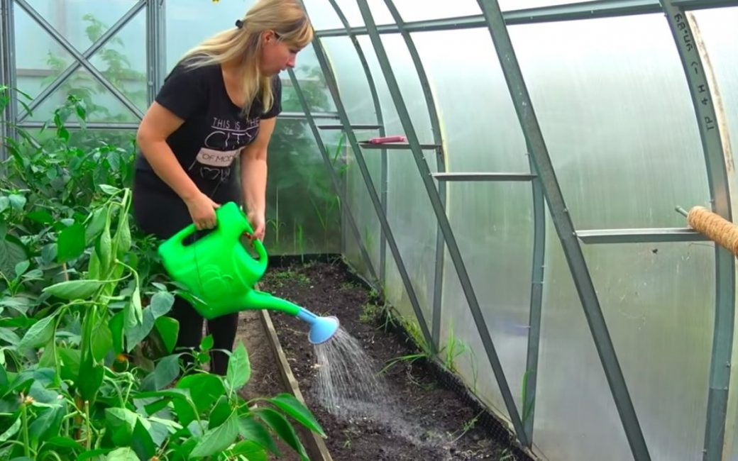 Le moyen d'améliorer le sol