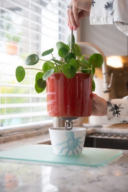 travaux d'aiguille intéressants pour la maison de vos propres mains