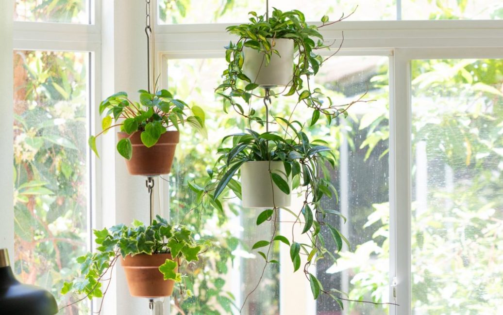 travaux d'aiguille intéressants pour la maison de vos propres mains