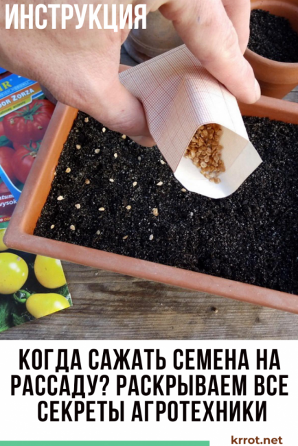 Quand planter les semis