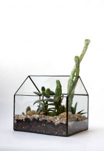 TOP 100 des idées de création (photo et vidéo)