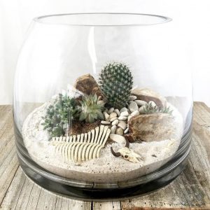 TOP 100 des idées de création (photo et vidéo)