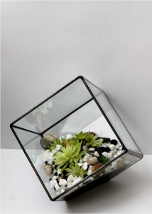 TOP 100 des idées de création (photo et vidéo)