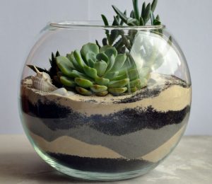 TOP 100 des idées de création (photo et vidéo)