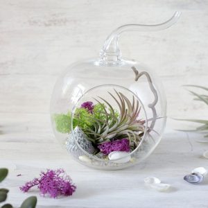 TOP 100 des idées de création (photo et vidéo)