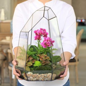 TOP 100 des idées de création (photo et vidéo)