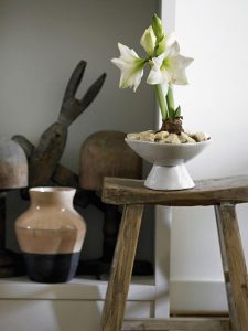 (100+ photos et vidéos)