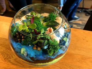 TOP 100 des idées de création (photo et vidéo)