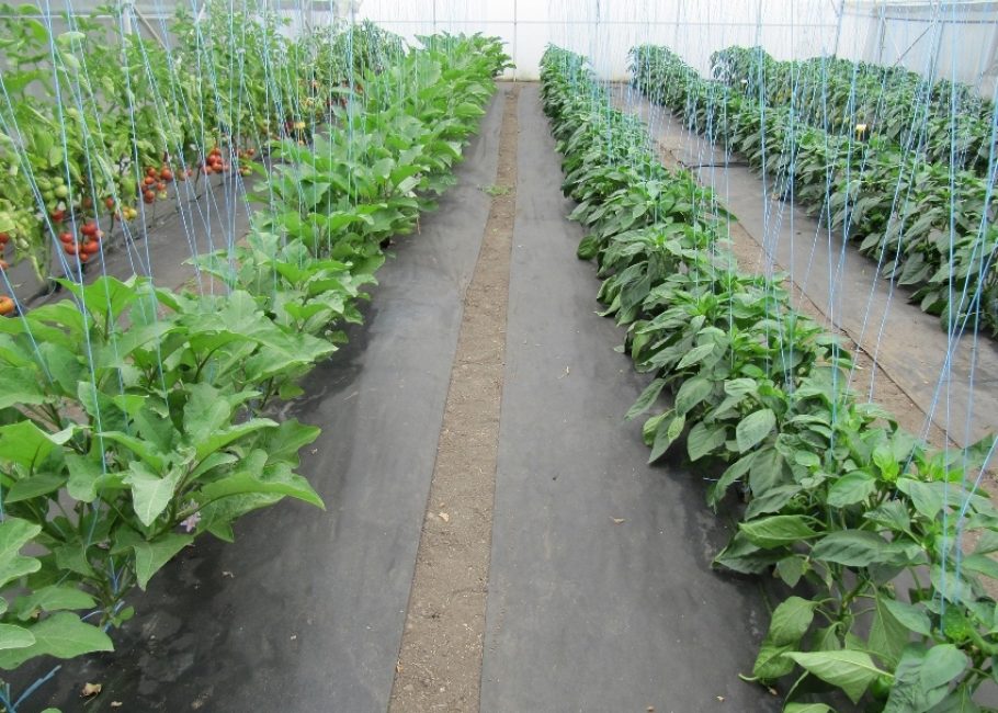 Tissu non tissé noir