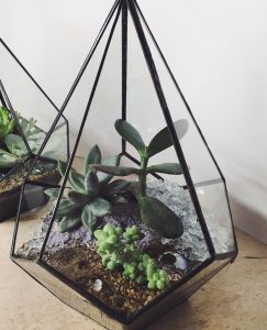 TOP 100 des idées de création (photo et vidéo)