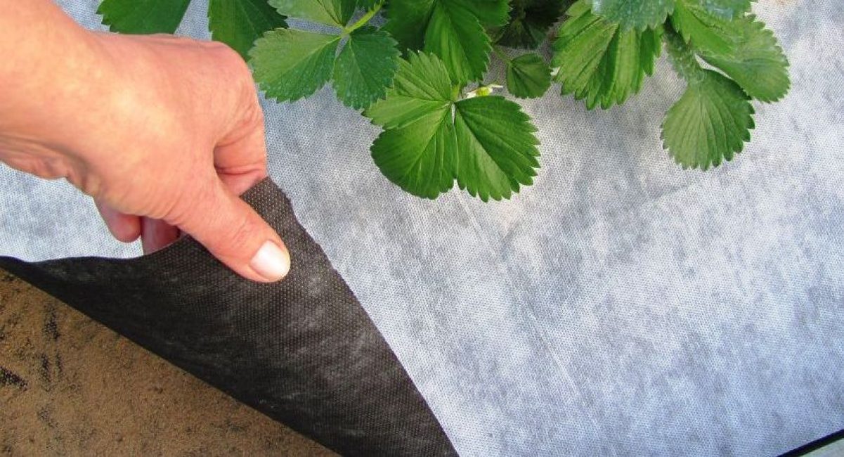 Non-tissés multicouches