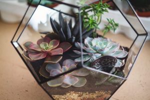 TOP 100 des idées de création (photo et vidéo)