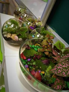 TOP 100 des idées de création (photo et vidéo)