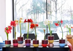 (100+ photos et vidéos)