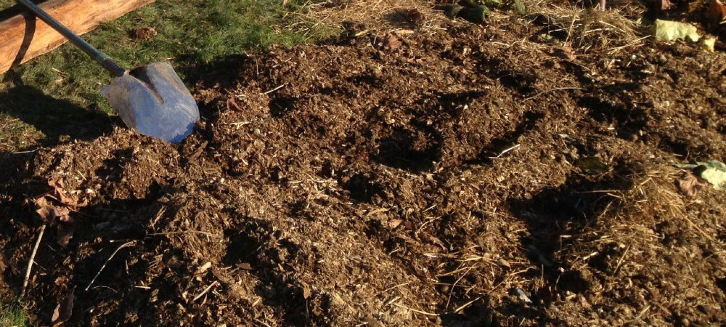 Le fumier améliore la microflore