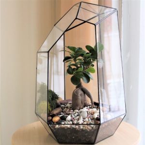 TOP 100 des idées de création (photo et vidéo)