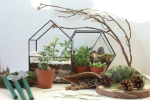 TOP 100 des idées de création (photo et vidéo)