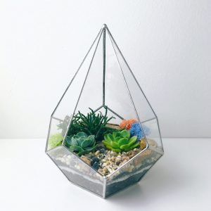 TOP 100 des idées de création (photo et vidéo)