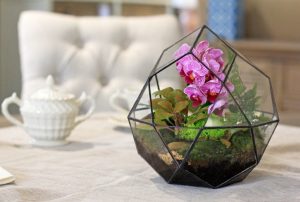 TOP 100 des idées de création (photo et vidéo)