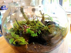 TOP 100 des idées de création (photo et vidéo)