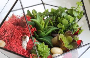 TOP 100 des idées de création (photo et vidéo)