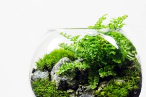 TOP 100 des idées de création (photo et vidéo)