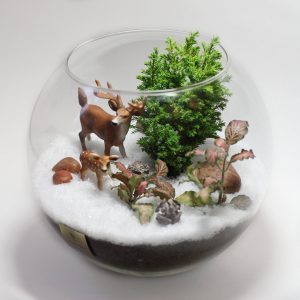 TOP 100 des idées de création (photo et vidéo)