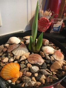 (100+ photos et vidéos)