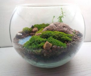 TOP 100 des idées de création (photo et vidéo)