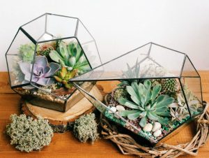 TOP 100 des idées de création (photo et vidéo)