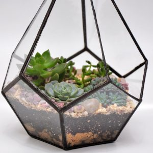 TOP 100 des idées de création (photo et vidéo)