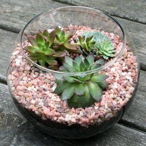 TOP 100 des idées de création (photo et vidéo)