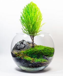 TOP 100 des idées de création (photo et vidéo)