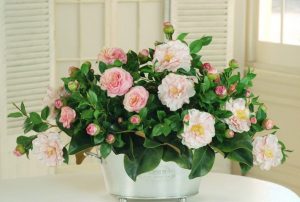 (50+ photos et vidéos)