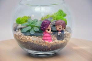 TOP 100 des idées de création (photo et vidéo)