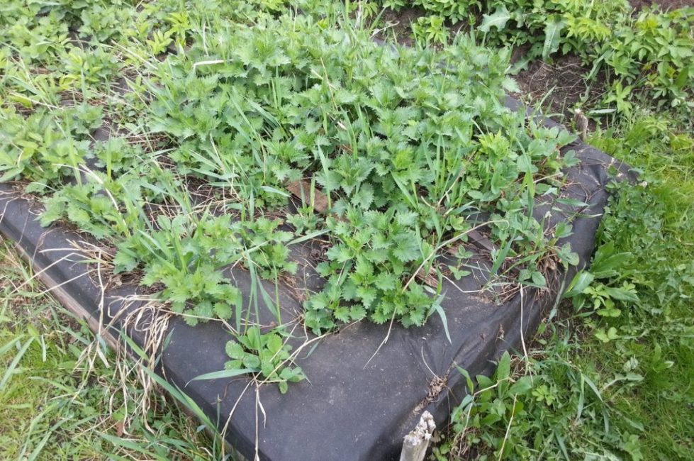 Matériaux de revêtement non tissés