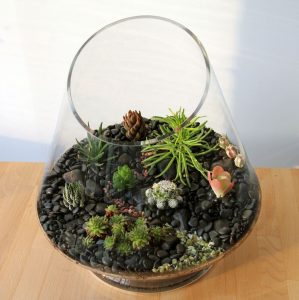 TOP 100 des idées de création (photo et vidéo)