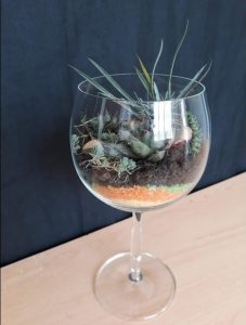 TOP 100 des idées de création (photo et vidéo)