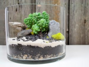 TOP 100 des idées de création (photo et vidéo)