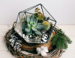 TOP 100 des idées de création (photo et vidéo)