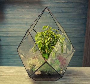 TOP 100 des idées de création (photo et vidéo)