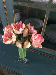 (100+ photos et vidéos)