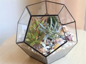 TOP 100 des idées de création (photo et vidéo)