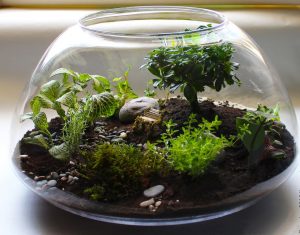 TOP 100 des idées de création (photo et vidéo)