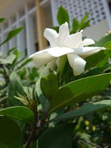 (50+ photos et vidéos)