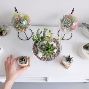 TOP 100 des idées de création (photo et vidéo)