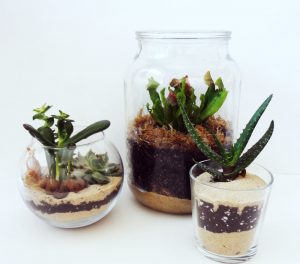 TOP 100 des idées de création (photo et vidéo)