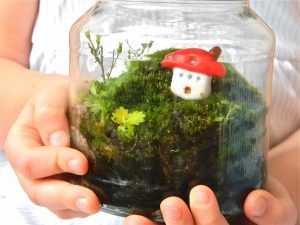 TOP 100 des idées de création (photo et vidéo)