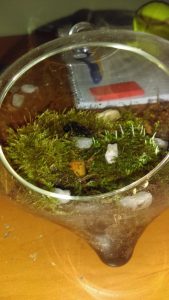 TOP 100 des idées de création (photo et vidéo)