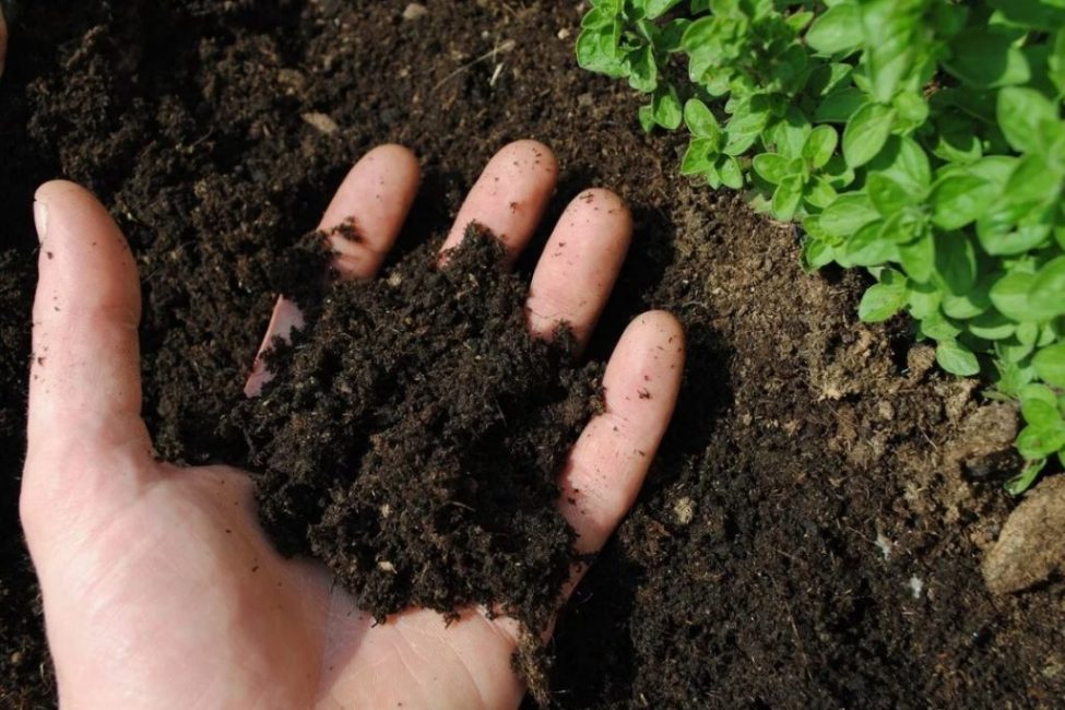 La qualité est influencée par divers facteurs qui ne sont pas tous soumis à une personne.